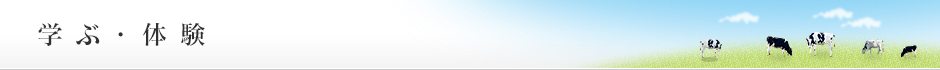 学ぶ・体験