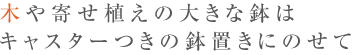 木や寄せ植えの大きな鉢はキャスターつきの鉢置きにのせて