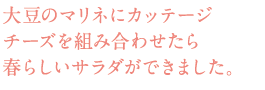 大豆のマリネにカッテージチーズを組み合わせたら春らしいサラダができました。