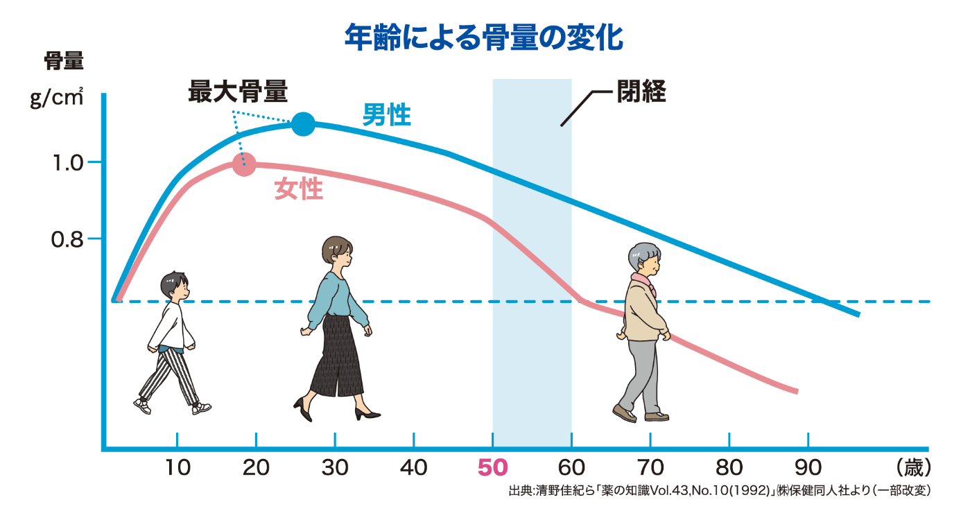 年齢による骨量の変化