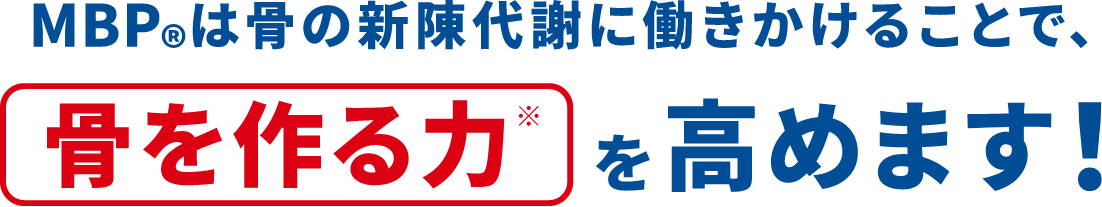 MBP®は骨の新陳代謝に働きかけることで、骨を作る力※を高めます！