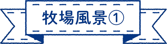 牧場風景①